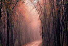 阿贾克斯遭遇反败为胜，晋级欧冠四强