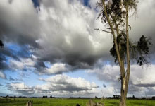 阿贾克斯遭遇反败为胜，晋级欧冠四强