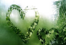 国际米兰阵容强大，受到瞩目？