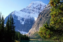 阿贾克斯遭遇反败为胜，晋级欧冠四强