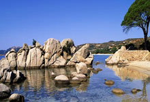 国际米兰阵容强大，受到瞩目？