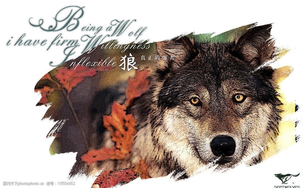 包含沙漠狼辗压对手，实力超群！的词条