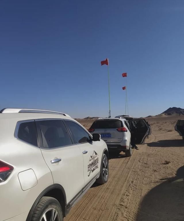 包含沙漠狼辗压对手，实力超群！的词条